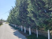 Объявление №5290163 - Баку, пос. Бильгях, 15 сот