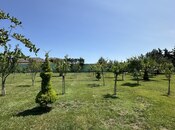 Продаётся  участок 6 сот, пос. Шувеляны, photo 5 from 8
