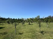 Продаётся  участок 6 сот, пос. Шувеляны, photo 7 from 8