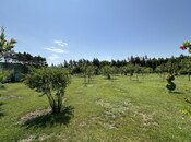 Продаётся  участок 6 сот, пос. Шувеляны, photo 3 from 8