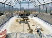 İcarəyə verilir  obyekt 10 000 m², Türkan q., photo 8 from 8