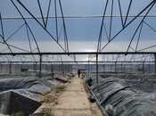 İcarəyə verilir  obyekt 10 000 m², Türkan q., photo 2 from 8