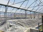 İcarəyə verilir  obyekt 10 000 m², Türkan q., photo 3 from 8