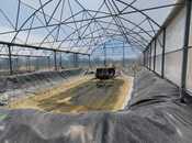 Elan №5291740 - Bakı, Türkan q., 10000 m²