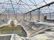 İcarəyə verilir  obyekt 10 000 m², Türkan q., photo 4 from 8