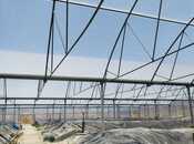 İcarəyə verilir  obyekt 10 000 m², Türkan q., photo 7 from 8