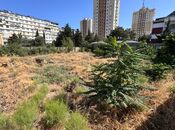 Объявление №5293219 - Баку, пос. 9-й мкр, 8 сот