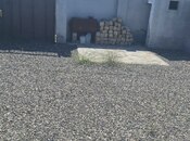 Satılır 3 otaqlı həyət evi/bağ evi 80 m², Hövsan q., photo 5 from 8