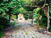 Объявление №5301244 - Баку, пос. Бильгях, 23 сот