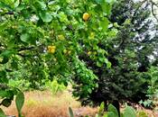 Продаётся  участок 23 сот, пос. Бильгях, photo 7 from 8