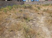 Продаётся  участок 4 сот, пос. Шувеляны, photo 2 from 8