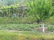 Satılır  torpaq 21 sot, Avtovağzal m., photo 6 from 8