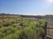 Продаётся  участок 24 сот, пос. Шувеляны, photo 2 from 7