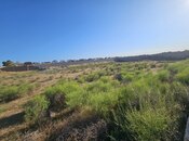 Продаётся  участок 24 сот, пос. Шувеляны, photo 6 from 7