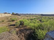 Продаётся  участок 24 сот, пос. Шувеляны, photo 7 from 7