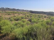 Продаётся  участок 24 сот, пос. Шувеляны, photo 1 from 7