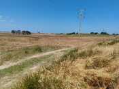 Satılır  torpaq 500 sot, Abşeron r., photo 6 from 8