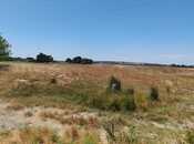 Satılır  torpaq 500 sot, Abşeron r., photo 8 from 8