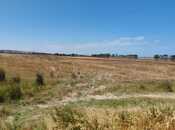 Satılır  torpaq 500 sot, Abşeron r., photo 4 from 8