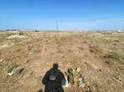 Продаётся  участок 36 сот, photo 4 from 5