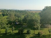 Участок - Габала - 100 сот