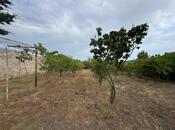 Продаётся  участок 11.5 сот, пос. Мардакан, photo 4 from 8