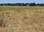 Satılır  torpaq 150 sot, Maştağa q., photo 8 from 8