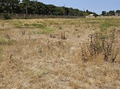 Satılır  torpaq 150 sot, Maştağa q., photo 2 from 8