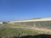 Продаётся  объект 5 000 м², пос. Зире, photo 3 from 5