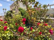 Продаётся 4-комн. новостройка 145.5 м², м. 8 ноября, photo 8 from 8