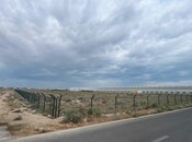 Продаётся  участок 200 сот, пос. Зире, photo 4 from 8