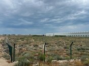 Объявление №5329592 - Баку, пос. Зире, 200 сот