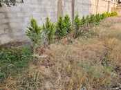 Продаётся  участок 11 сот, пос. Бузовна, photo 2 from 6