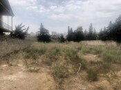 Продаётся  участок 24 сот, пос. Шаган, photo 5 from 7