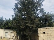 Продаётся  участок 24 сот, пос. Шаган, photo 7 from 7