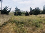 Объявление №5334292 - Баку, пос. Шаган, 24 сот