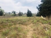 Продаётся  участок 24 сот, пос. Шаган, photo 4 from 7