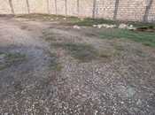 Elan №5336786 - Bakı, Ceyranbatan q., 250 m²