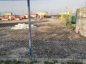 Elan №5338339 - Bakı, Sahil q., 200 sot