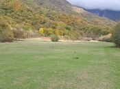 Elan №5338441 - Oğuz, Oğuz, 200 sot