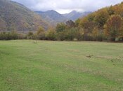 Satılır  torpaq 200 sot, photo 4 from 8