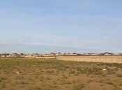 Продаётся  участок 150 сот, пос. Сарай, photo 2 from 2