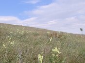 Продаётся  участок 53 сот, photo 8 from 8