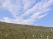 Продаётся  участок 53 сот, photo 6 from 8