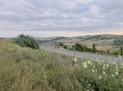 Объявление №5339830 - Шемаха, Шемаха, 53 сот