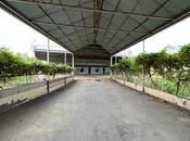 Satılır  torpaq 46 sot, photo 5 from 8