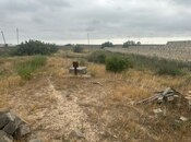 Продаётся  участок 25 сот, пос. Пиршаги, photo 3 from 3