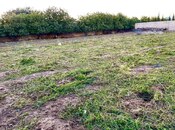 Продаётся  участок 16 сот, Сабунчинский  р., photo 5 from 8