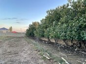 Продаётся  участок 16 сот, Сабунчинский  р., photo 8 from 8