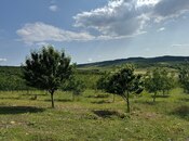 Продаётся  участок 2 000 сот, photo 8 from 8